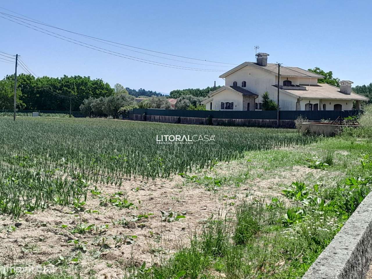 Terreno para construção com 2900m2 | Troviscal - Grande imagem: 2/12