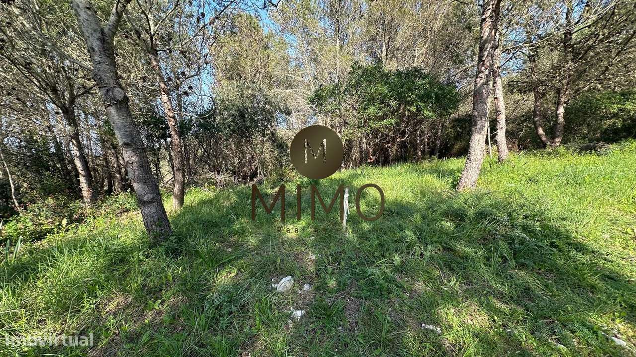 Terreno Para Venda na Murtinheira-21