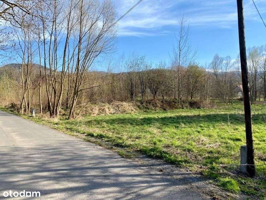 Widokowa działka z pozwoleniem na budowę Sosnówka - Pełny obrazek: 5/10