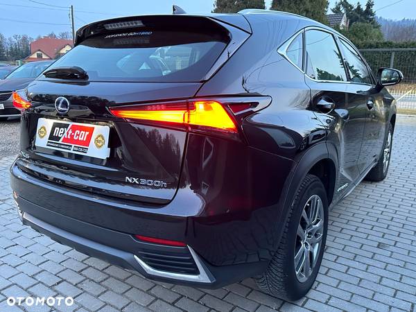 Lexus NX 300h Business Edition AWD - 5