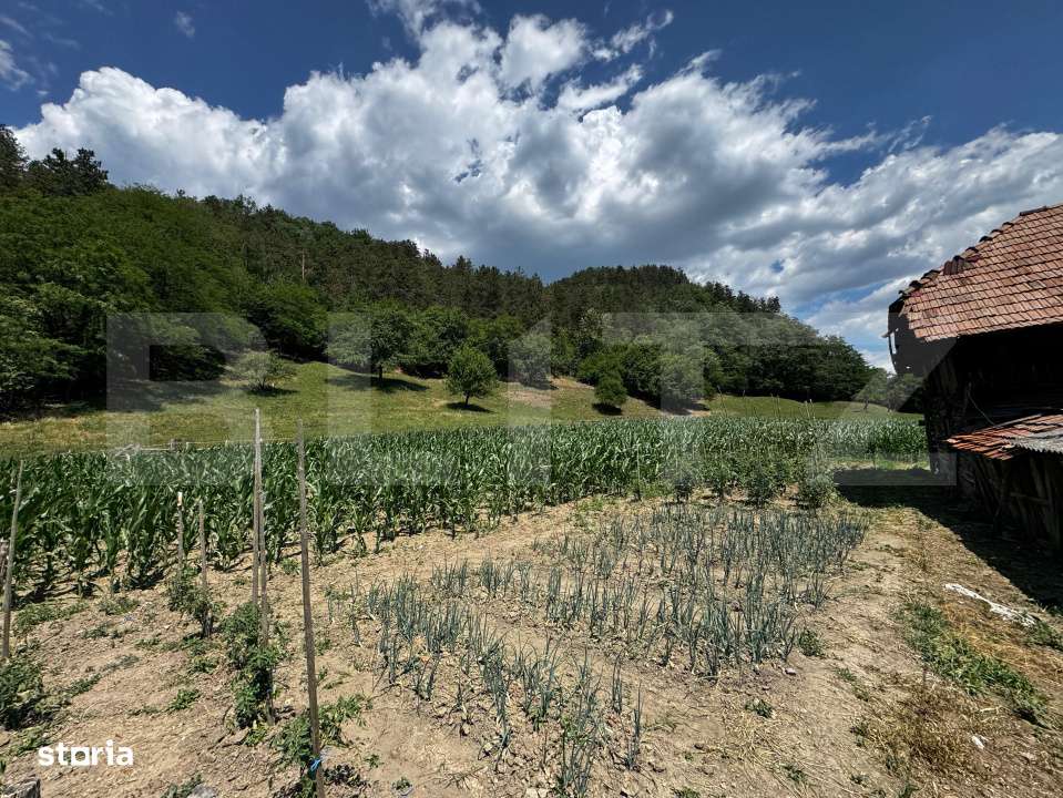 Casa cu 6000 mp teren, Poiana Ampoiului - Metes - Imagine principală: 4/9