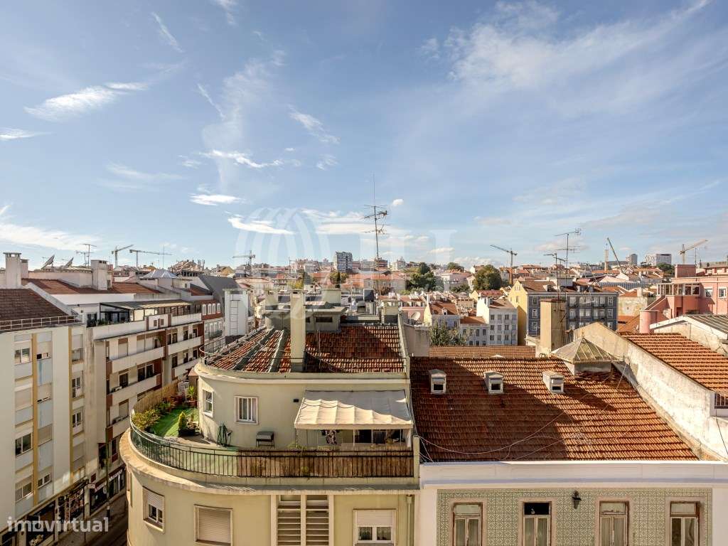 Palmira 28 - Grande imagem: 4/19