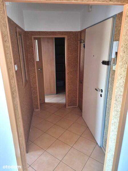 ⭐Zabrze Centrum duża kawalerka 41 m2 + balkon ⭐ - Pełny obrazek: 4/6