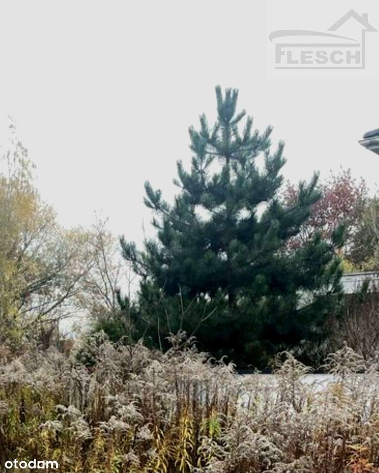 Atrakcyjna działka budowlana w Owczarni przy WKD-2