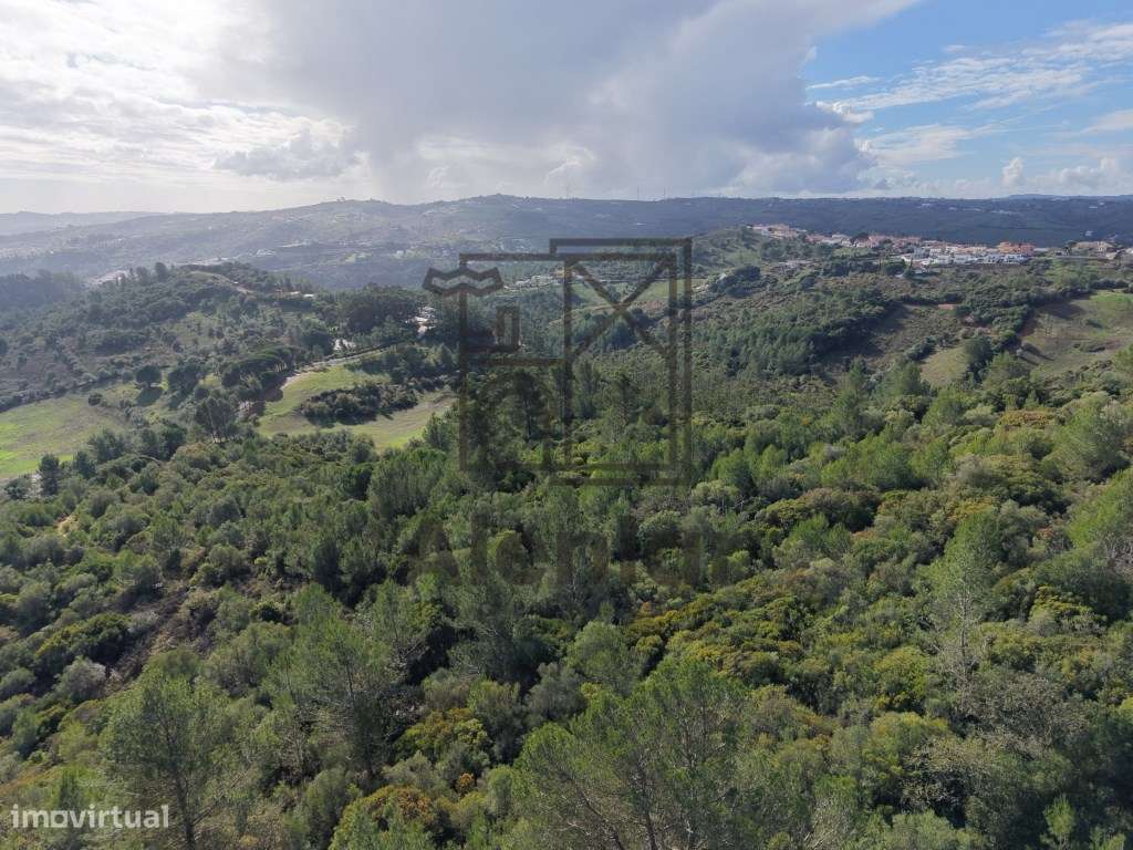 Oportunidade Única de Investimento Agrícola em Alenquer-14