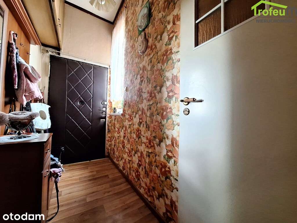 Parter ! Centrum miasta ! 3 pokoje! - Pełny obrazek: 4/6