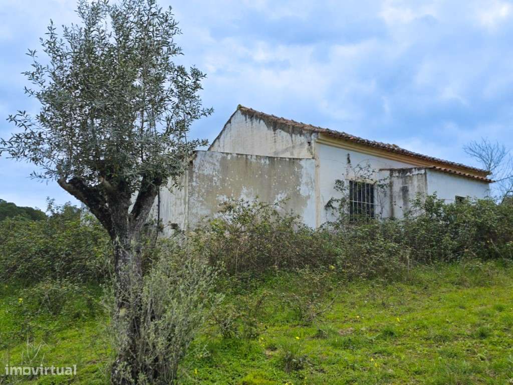 QUINTA COM 5HA DE TERRENO COM 500M2 URBANO - GALVEIAS - PONTE DE SOR-19