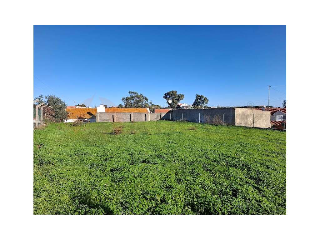 Construa a sua moradia de sonho no Faralhão! - Grande imagem: 3/8