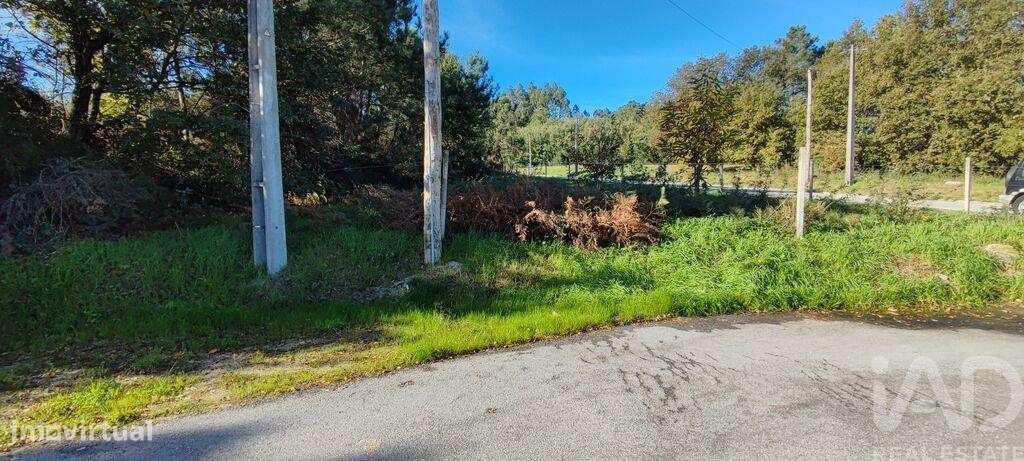 Terreno em Mões de 7230,00 m2 - Grande imagem: 5/20