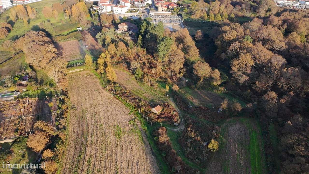 Quinta para Venda em Gondar, Guimarães – Oportunidade! - Grande imagem: 4/13
