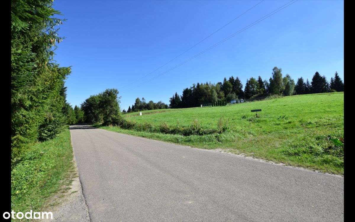 9,93 ar Werlas - Pełny obrazek: 4/5