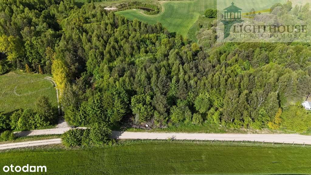 Działka 7037 mkw Błotnia / Trąbki Wielkie-4