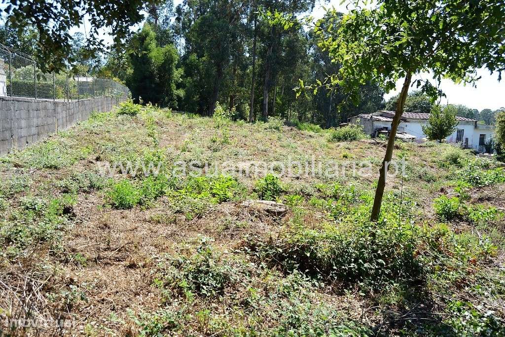 Terreno Agrícola - Barreiros - Grande imagem: 5/10