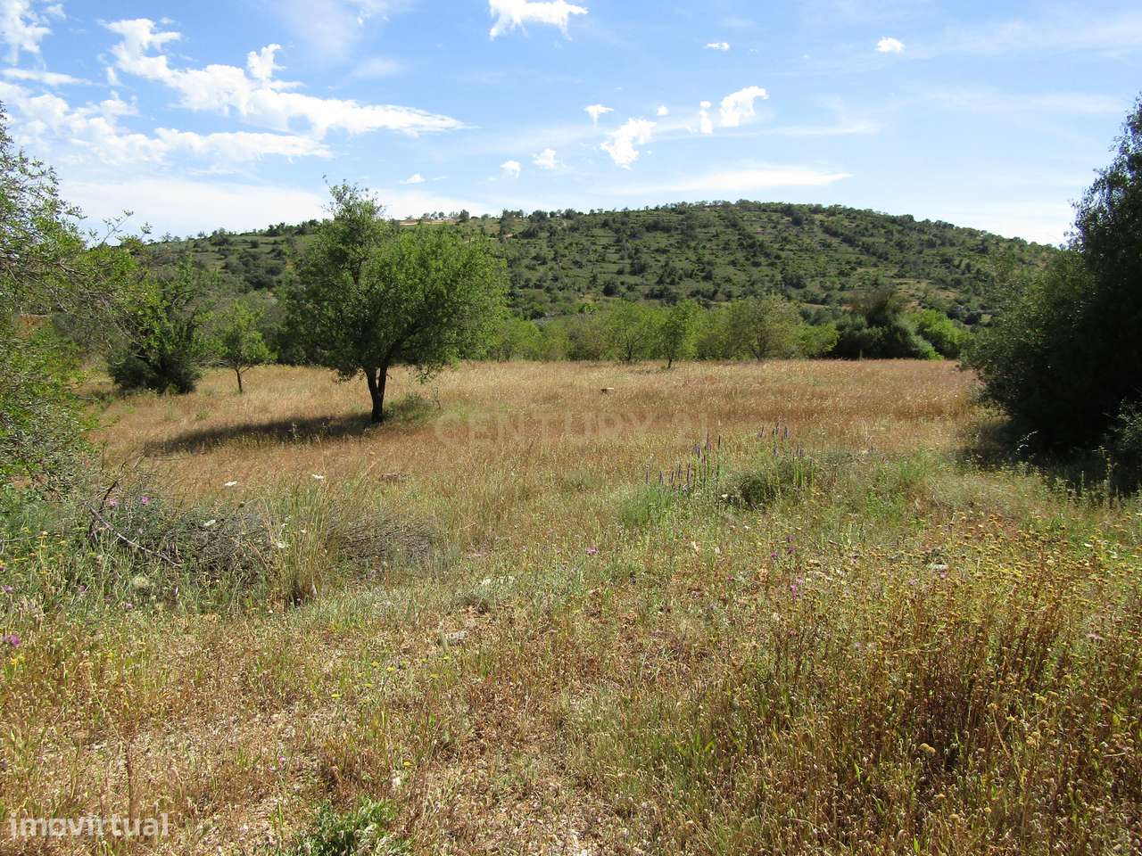 Terreno Rústico - Grande imagem: 5/8