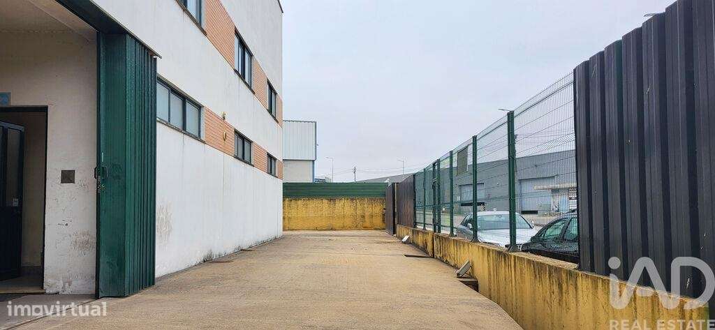 Armazém em Oiã de 569,00 m2 - Grande imagem: 2/30