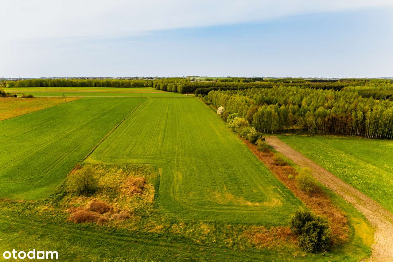 Krępa/Radomsko działki budowlane MPZP asfalt las SUPER PROPOZYCJA !!! - Pełny obrazek: 2/7