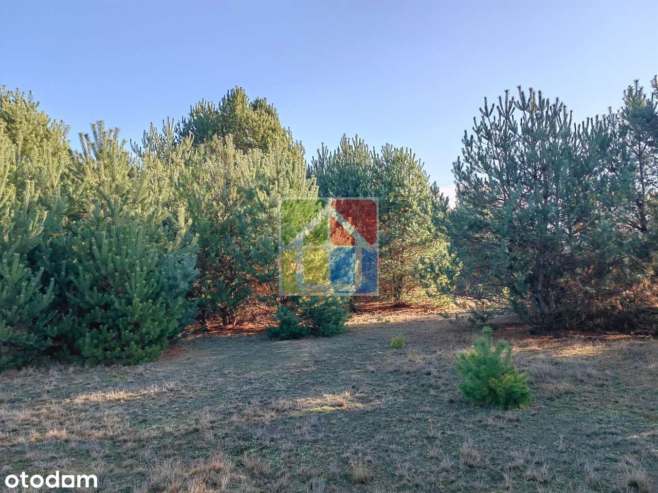 Duża działka z widokiem na jezioro-12