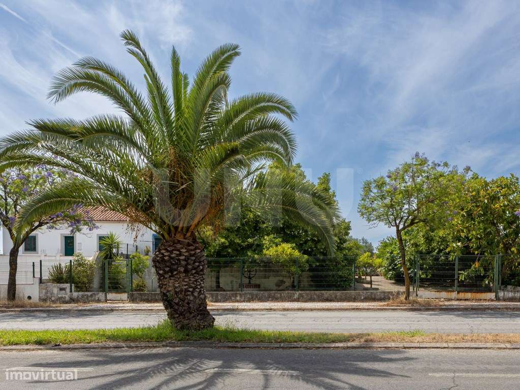 Moradia com espaço exterior em lote de 700 m²-12