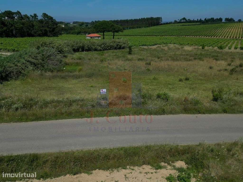 Terreno Rústico para Agricultura - Grande imagem: 4/9