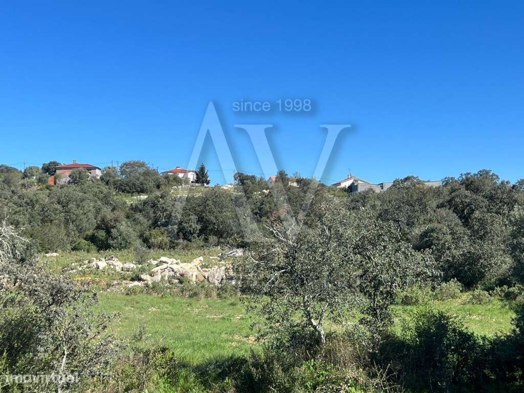 Terreno rústico - NOSSA SENHORA DAS MISERICÓRDIAS - OURÉM | LEILÃO ... - Grande imagem: 4/23