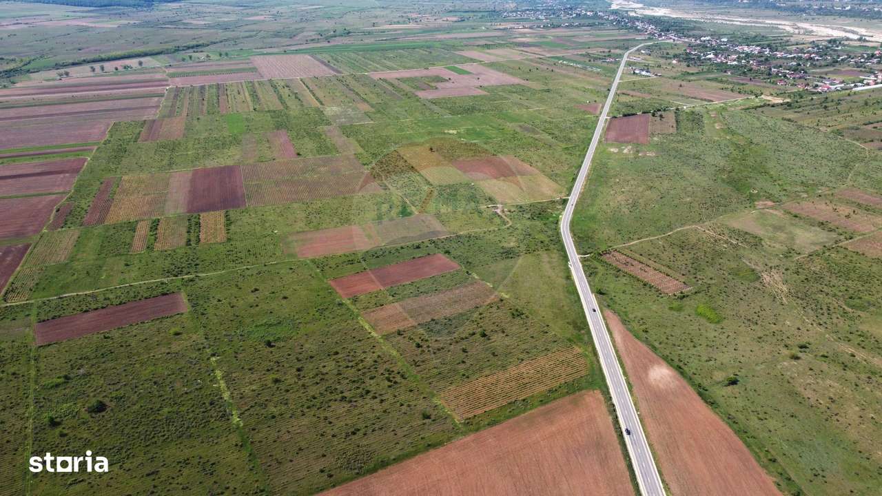 Teren Bolotesti pe soseaua Vrancei - Imagine principală: 4/6