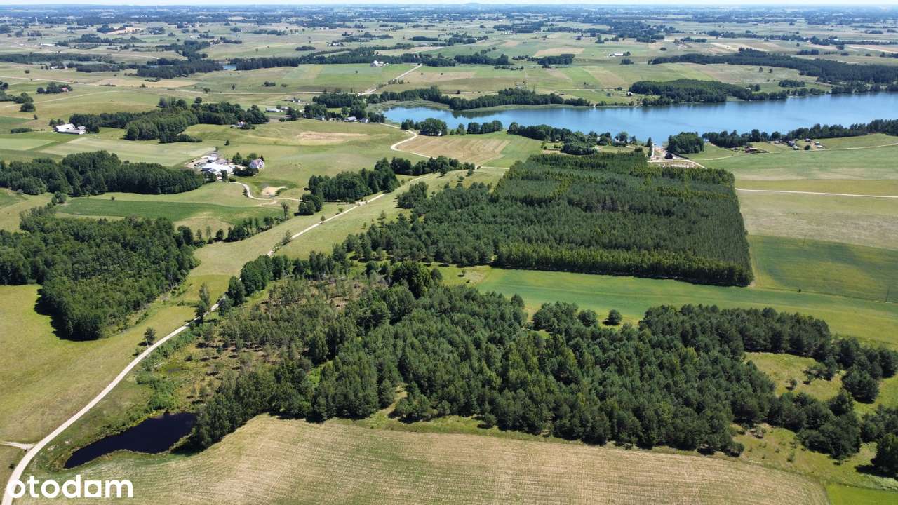 Filipów - grunt rolny na sprzedaż - Pełny obrazek: 4/6