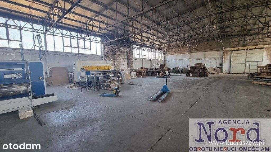 Elbląg, Nieruchomość Produkcyjno - Magazynowa-7