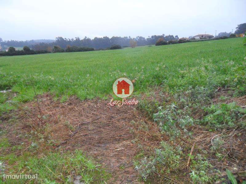 Terreno de construção com 8.860m2 em Balazar, Póvoa de Varzim - Grande imagem: 5/6
