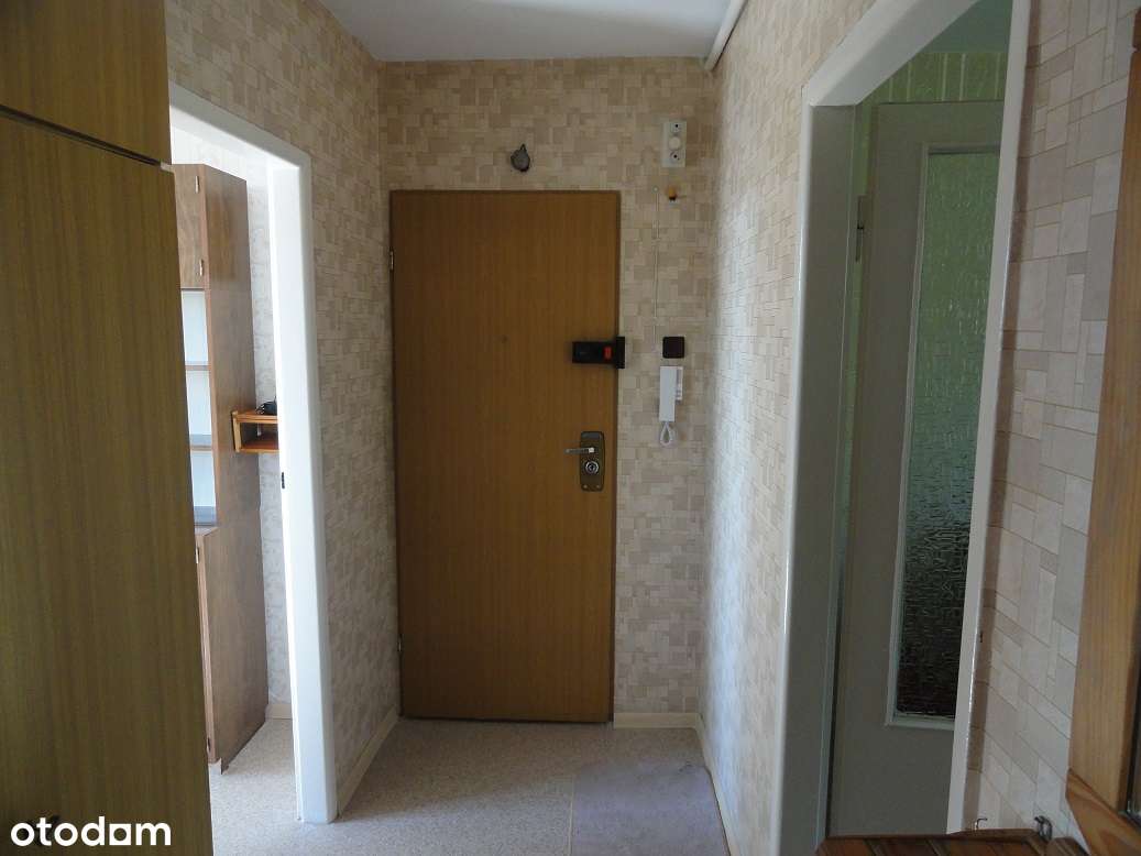 Trzy pokoje na drugim piętrze z dużym tarasem w okolicy "Tęczy" !-4