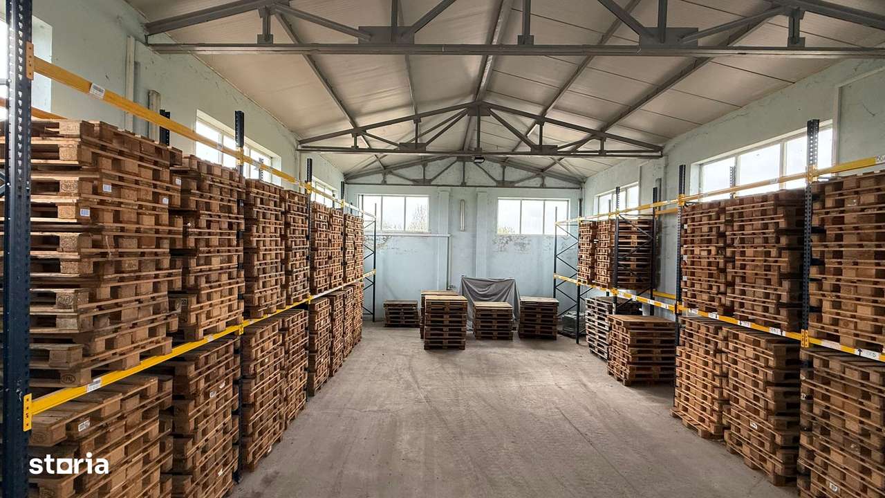 Hala 300mp, acces si intoarcere tir in curte 5000mp, Osorhei, birouri - Imagine principală: 4/12