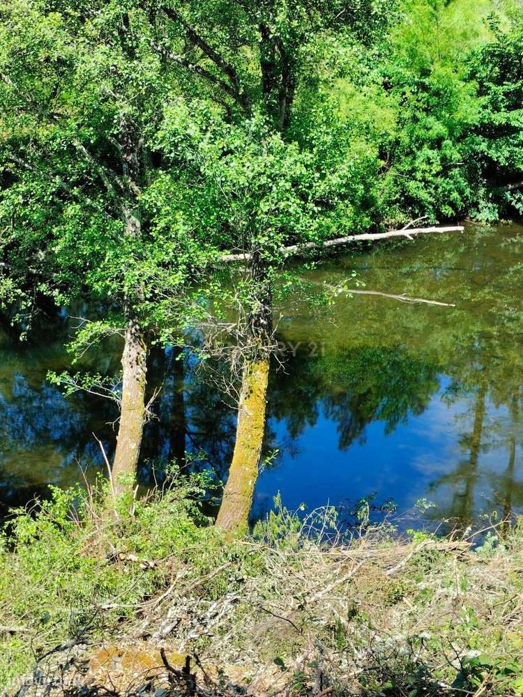 Terreno de 4.500 m² em Meixedo, Bragança — uma oportunidade para um pr-5
