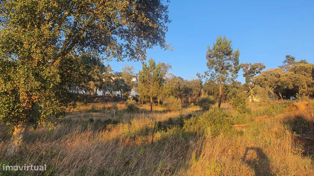 Terreno para Moradia com vista para a Serra D'Aire e Candeeiros-10