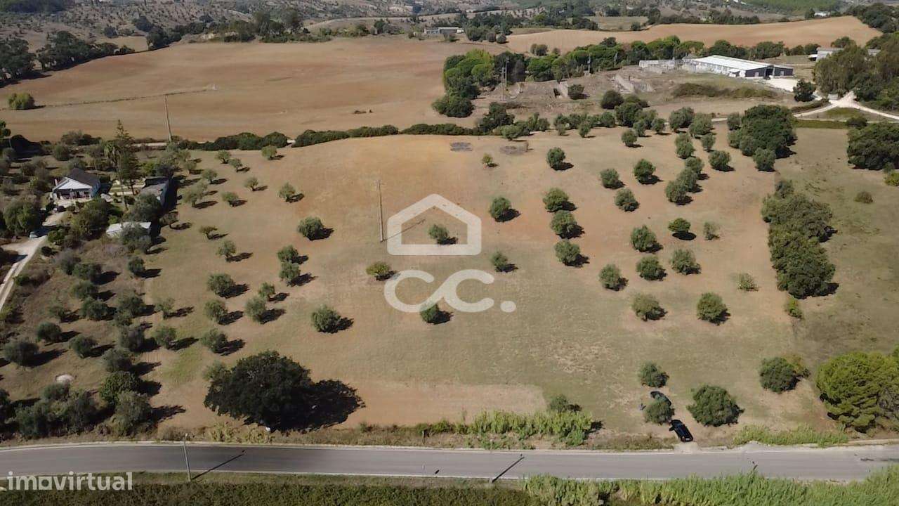 Terreno Rústico com 25.240 m² em Ferras, Gavata, Torres Novas – RAN-1