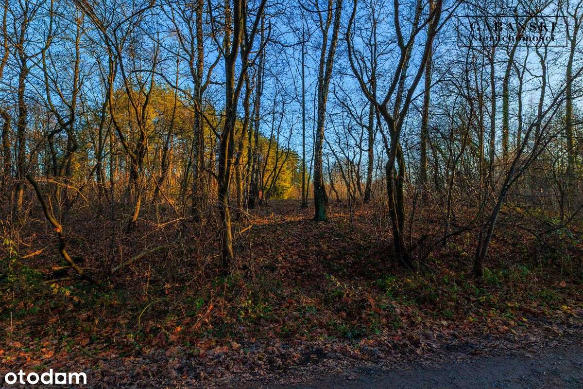 Działka budowlana na sprzedaż - Zaczarnie-15