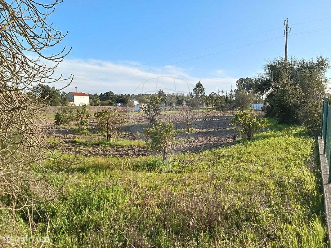 Terreno  para venda - Grande imagem: 4/12