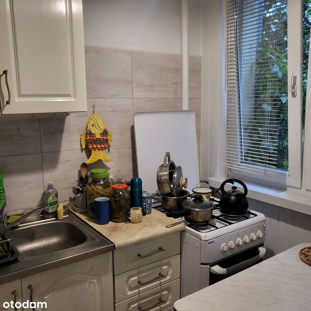 Karłowice - Polanka, I piętro, możliwe 3 pokoje-12