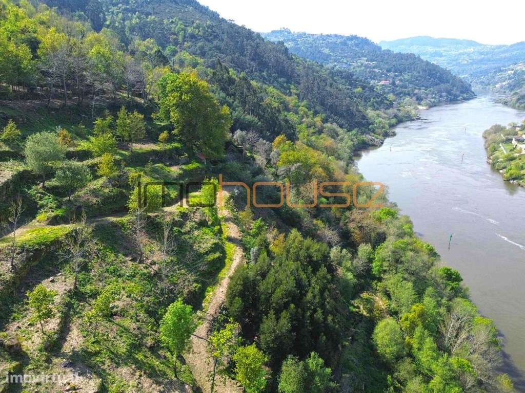 Quinta com frente de Rio Douro-18
