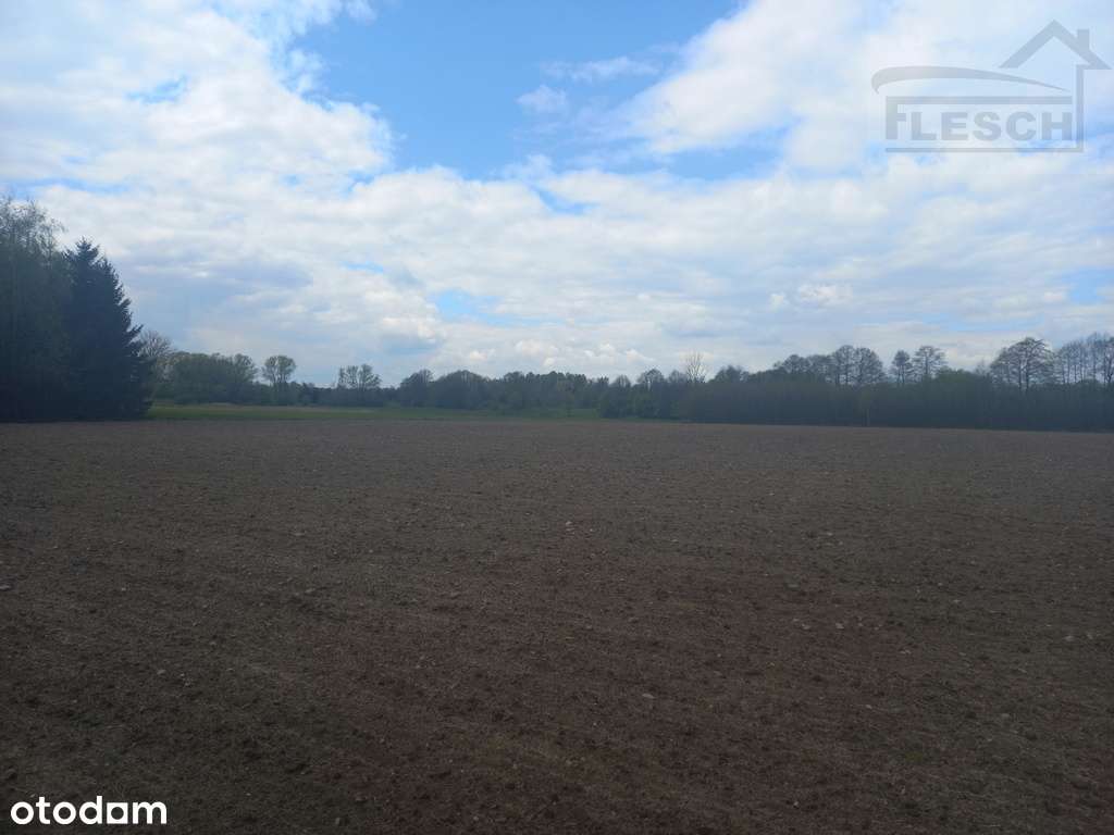 Działka rolno-budowlana 1,5 ha Lisówek - Pełny obrazek: 5/18