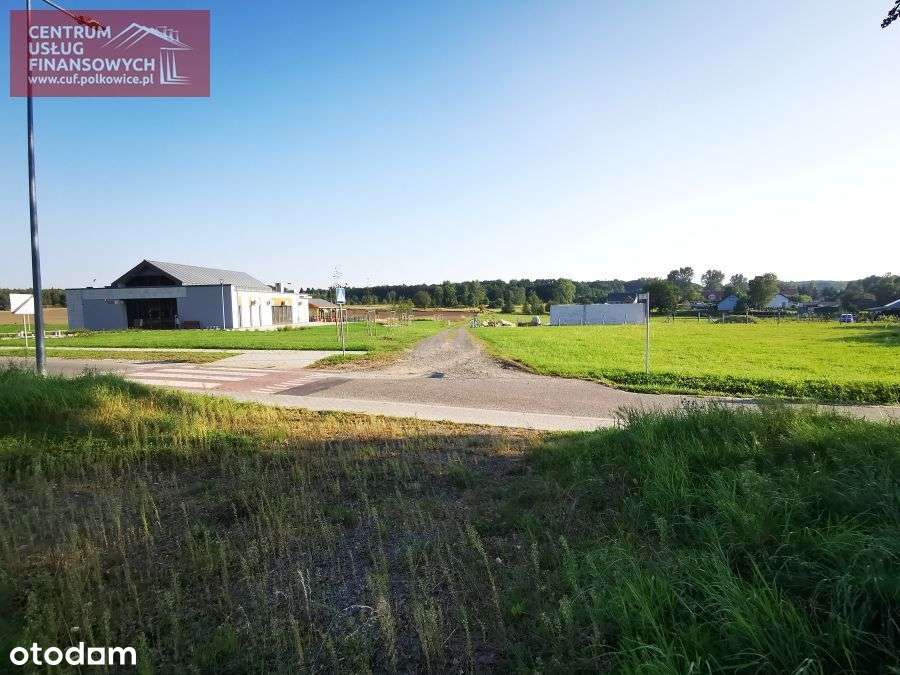 Działka 25 arów Trzebcz - Pełny obrazek: 5/17