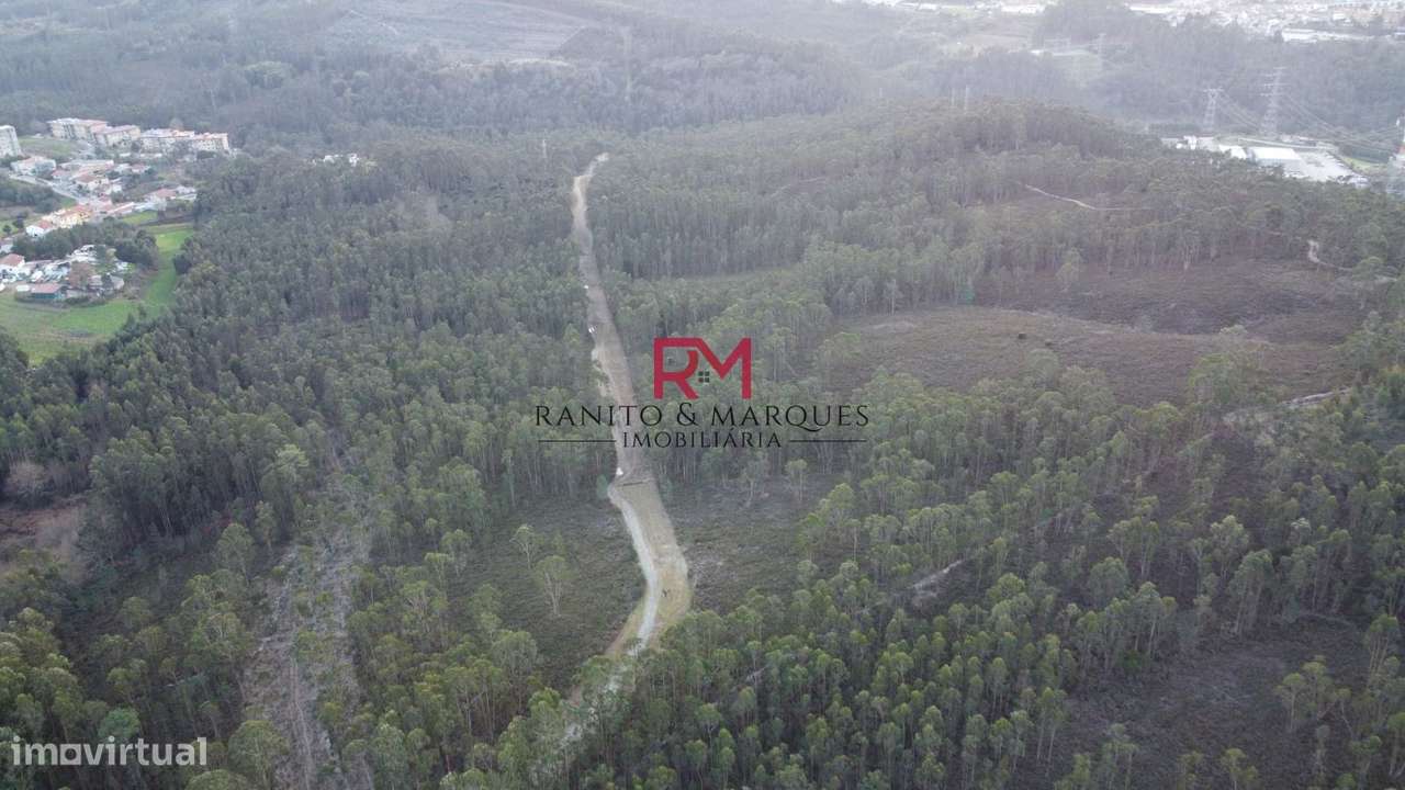 TERRENO RÚSTICO | VALONGO, ZONA "CABEDA" - Grande imagem: 2/12
