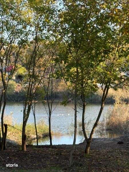 Teren 2.000 mp Intravilan cu Izvor si Deschidere la Balta - Teleorman - Imagine principală: 4/5