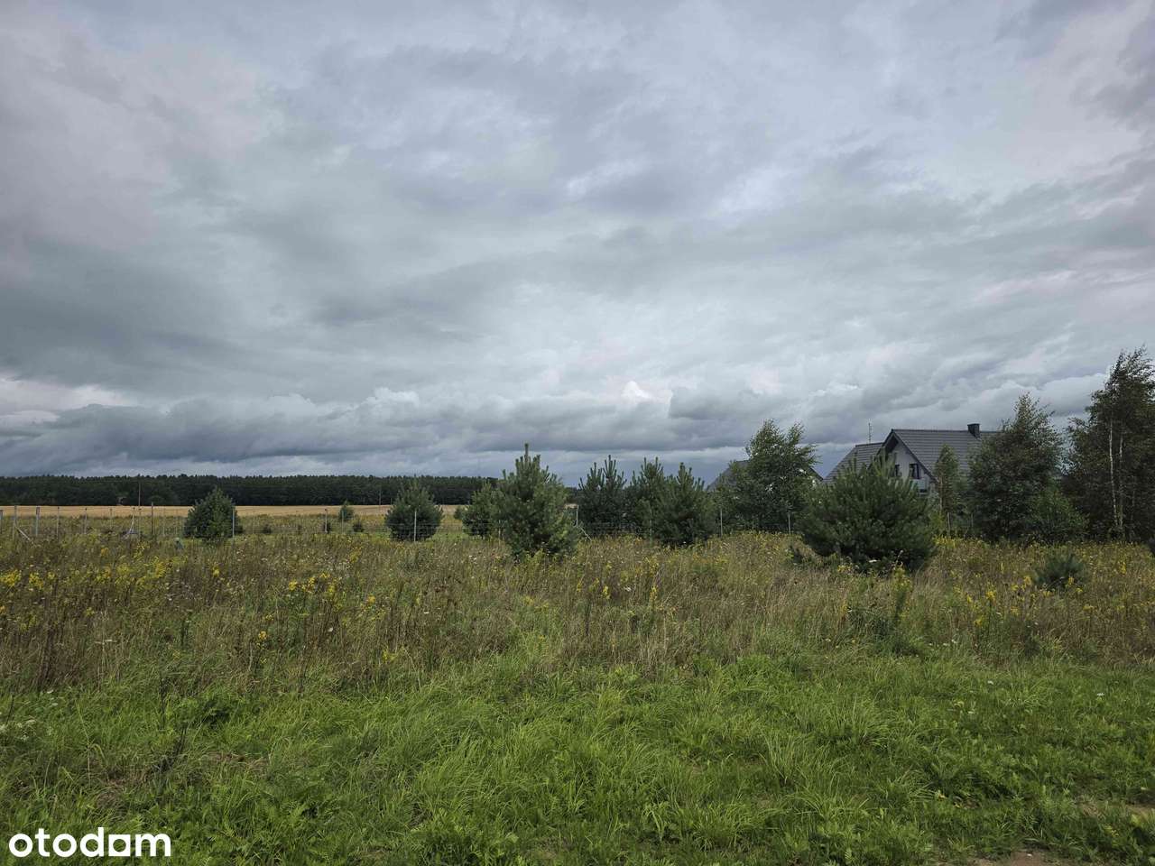 Działka budowlana - Barniewice I Urokliwa okolica - Pełny obrazek: 4/6