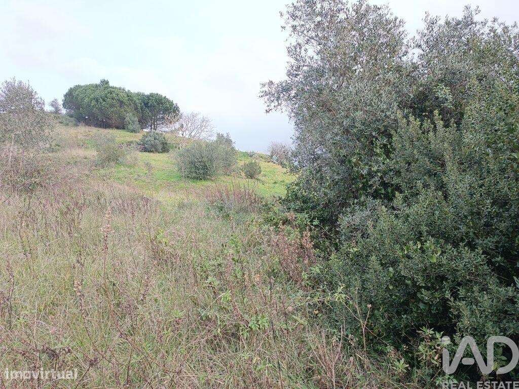 Terreno em Vila Verde dos Francos de 2520,00 m2 - Grande imagem: 5/8