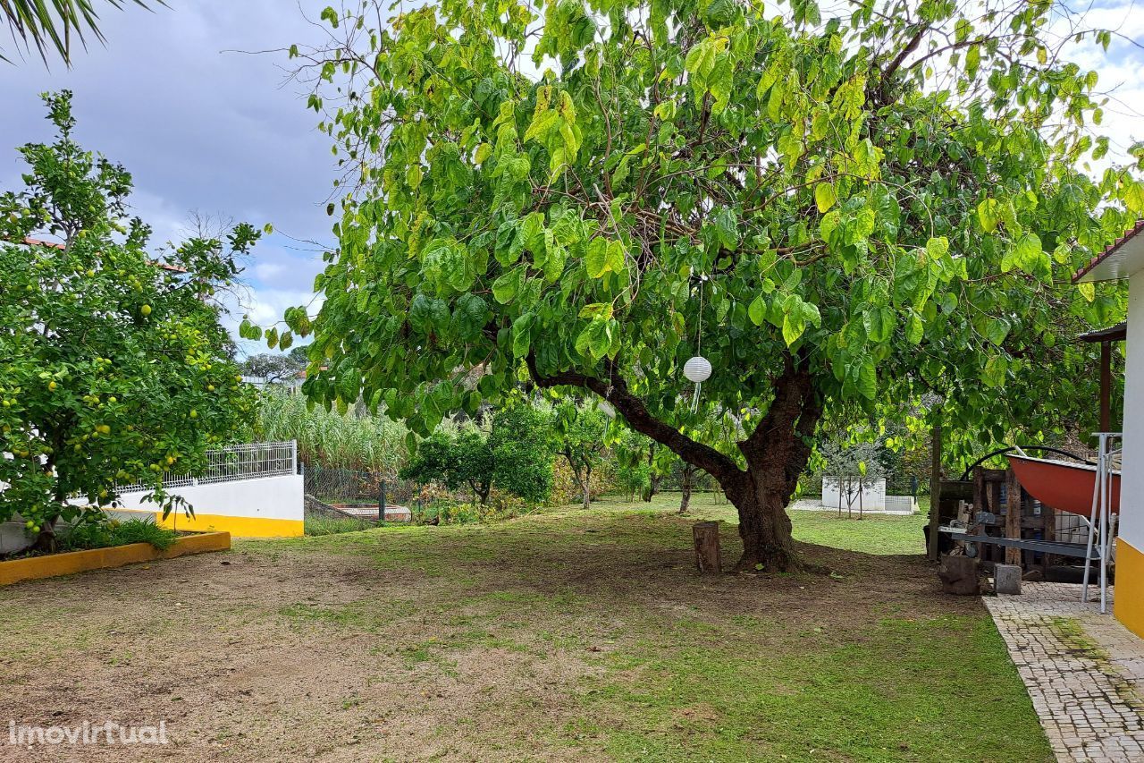 Casa da Amoreira - Barragem de Montargil