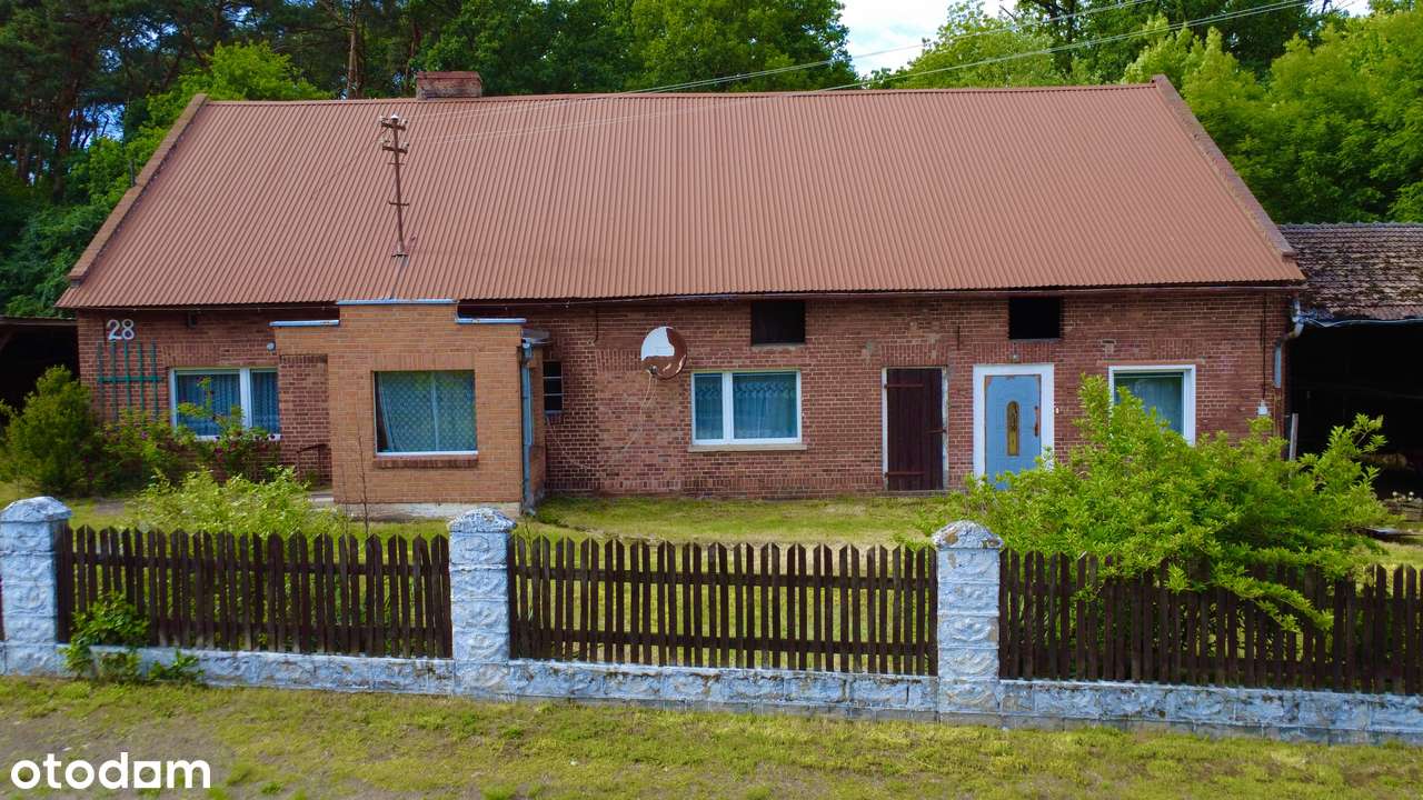 Dom 180 m2 na działce 29 arów plus zabudowania - Pełny obrazek: 5/14