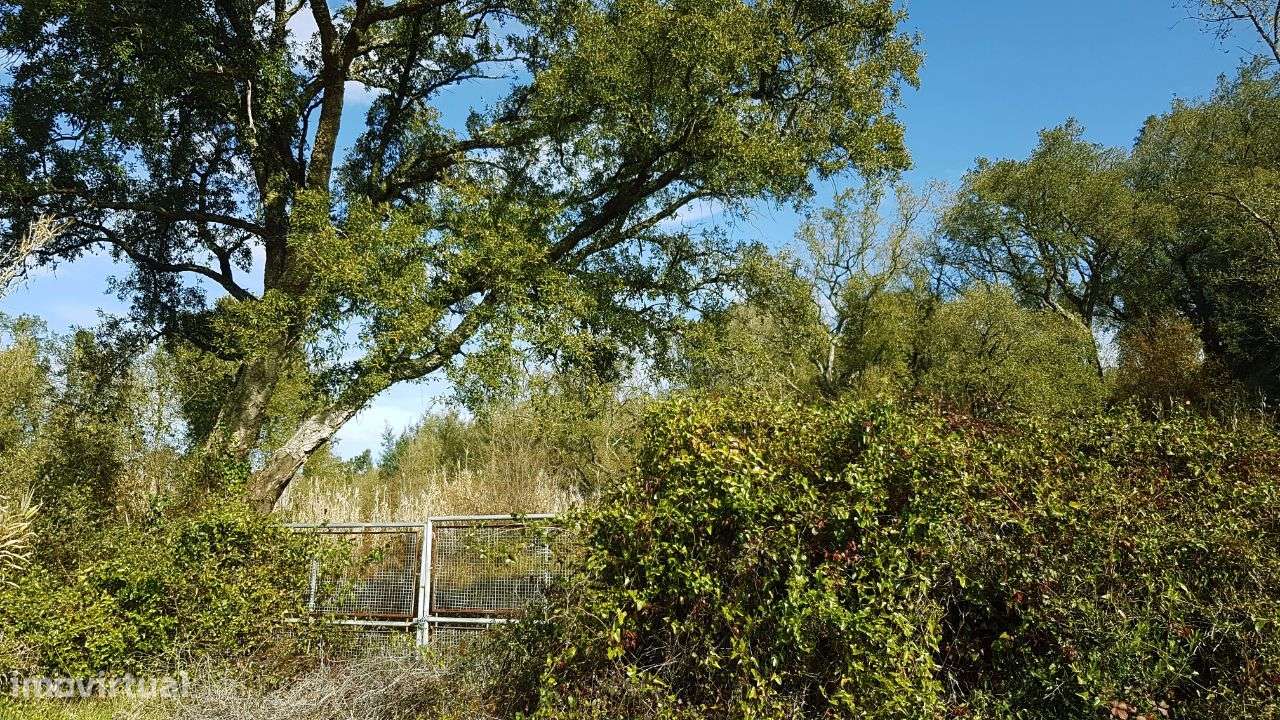 Quinta na Bairrada-10