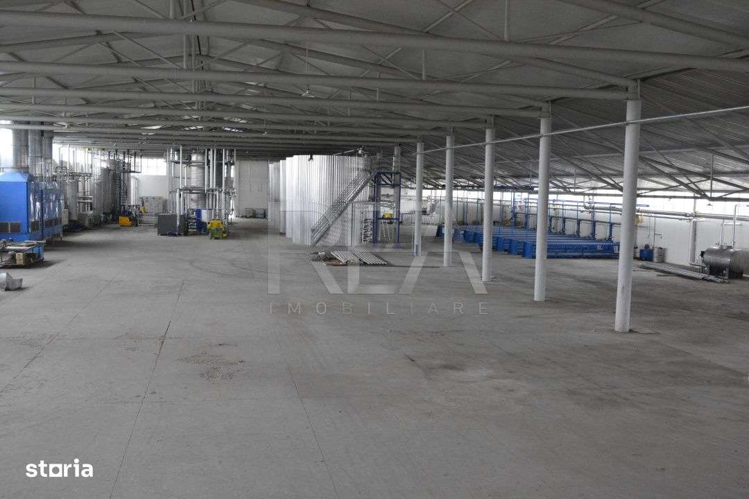 HALA FILIPESTII DE PADURE - complet echipata, pregatita pt productie s - Imagine principală: 5/12