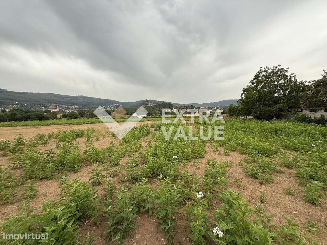 Quinta T6 Venda em Fontoura,Valença-14