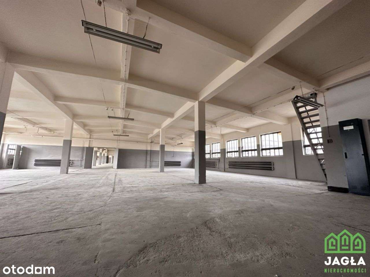 Zimne Wody Magazyn na wynajem 1141m winda towarowa - Pełny obrazek: 2/14