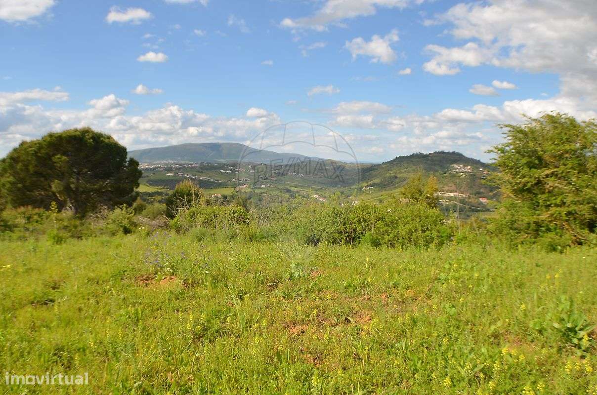 Terreno  para venda - Grande imagem: 2/11